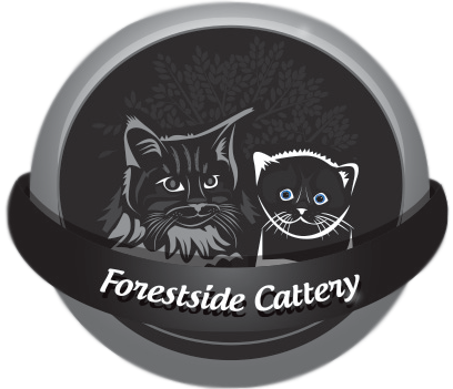 Forestside Cattery